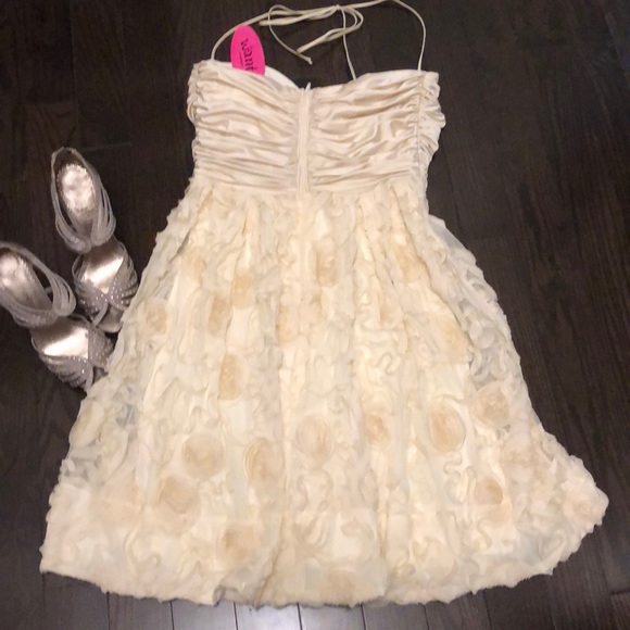 NWT cream coloured mini dress - Picture 4 of 11